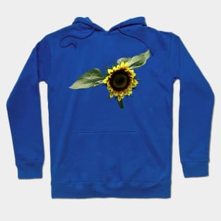 Sunflowers - Yellow and Brown Sunflower Hoodie